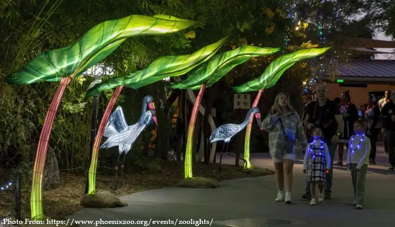 You are currently viewing Holiday Hype: Lease a High-Speed MFP for Phoenix ZooLights